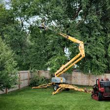 Best Lawn Drainage Solutions  in Mulberry, FL